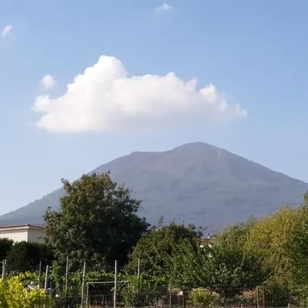 Mirto Trecase